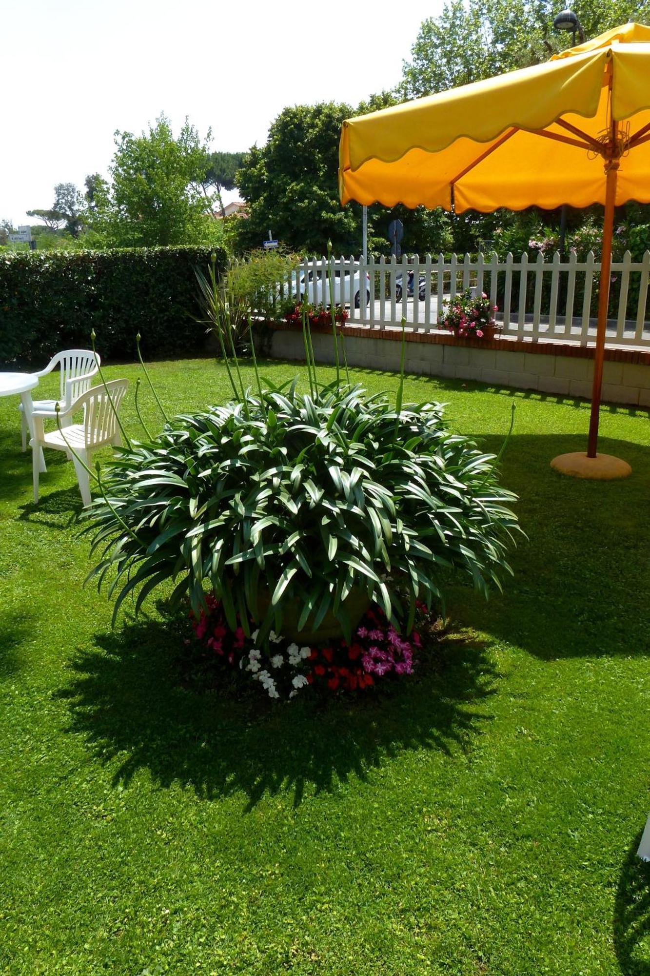 Hotel Versilia Lido di Camaiore Eksteriør billede